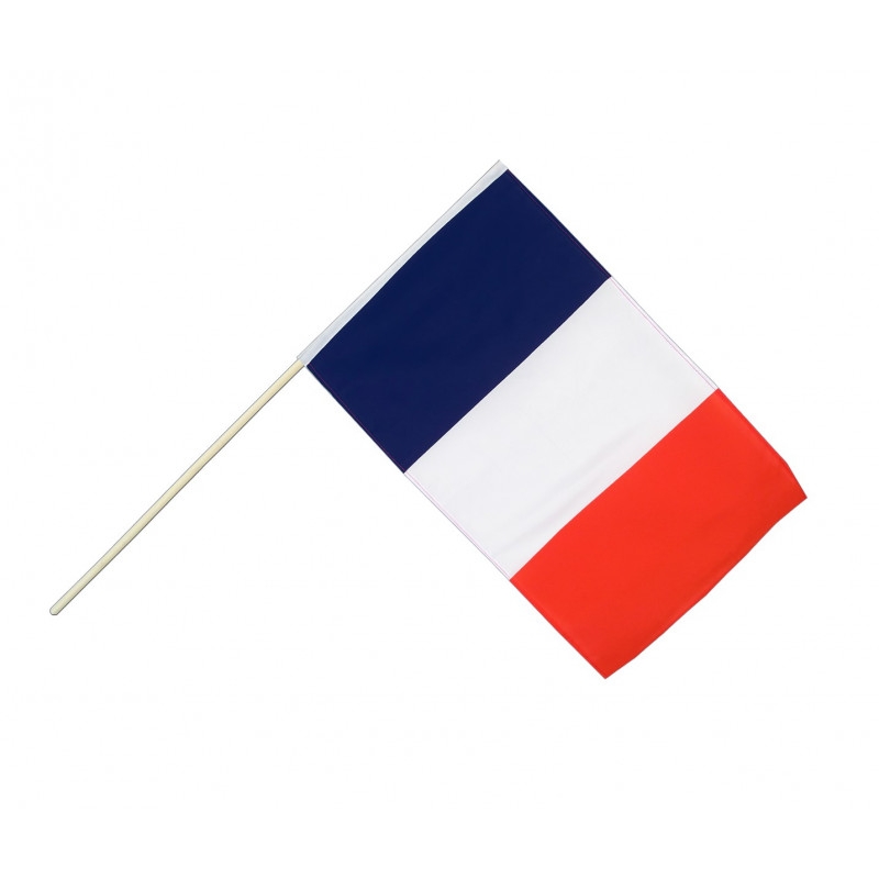 KAFNIK – petit drapeau français, 14x21CM, 50 pièces, drapeau National à la  main avec poignée